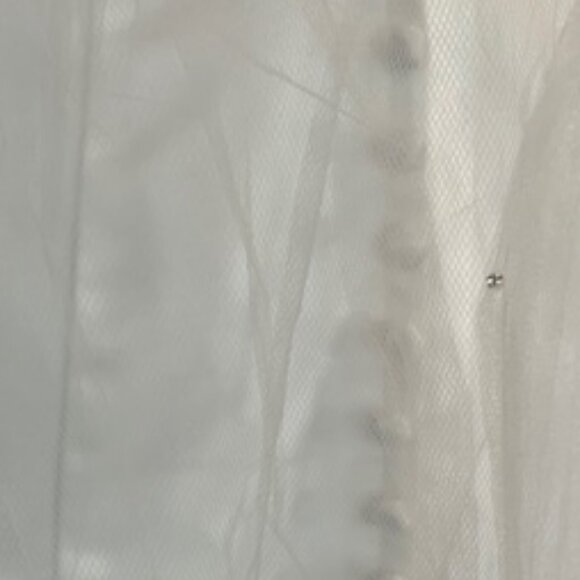 NWT Ivory Cathedral Veil w/ rhinestones main image 11
